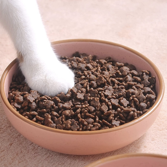 Ceramic Handmade Cat Food Bowl - Picture 4 of 6